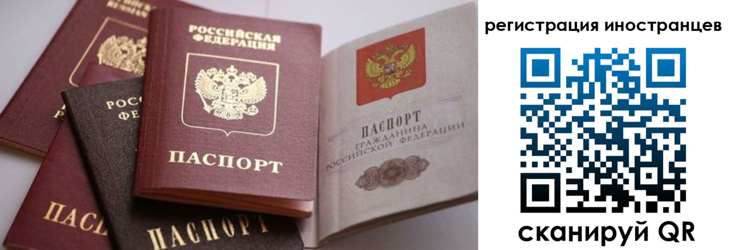 прописка штамп в Камышлове