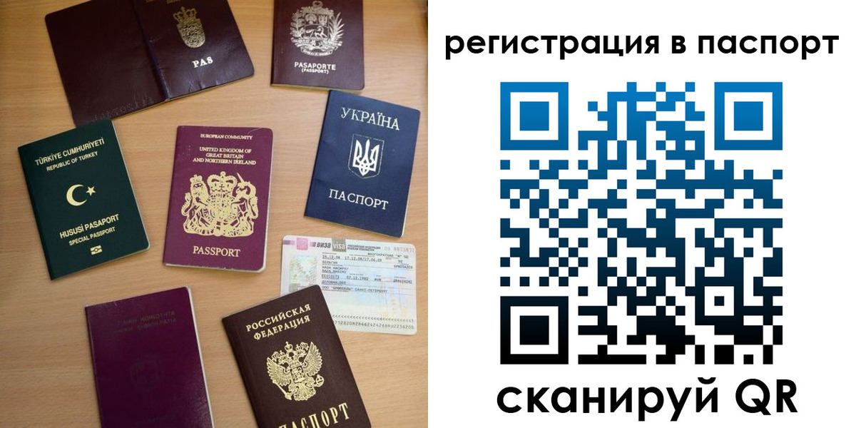 прописка поиск в Камышлове